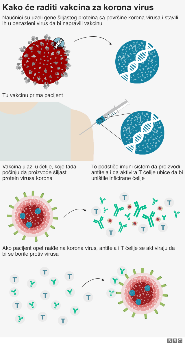 vakcina protiv korona virusa