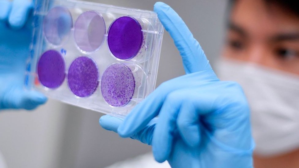 Sledeći korak je proširivanje proba sa većom dozom na više hiljada ljudi