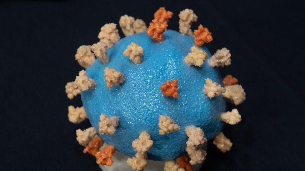 Model of a Sars-CoV-2 virus
