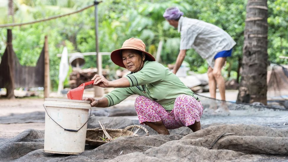 Villagers harvest guano