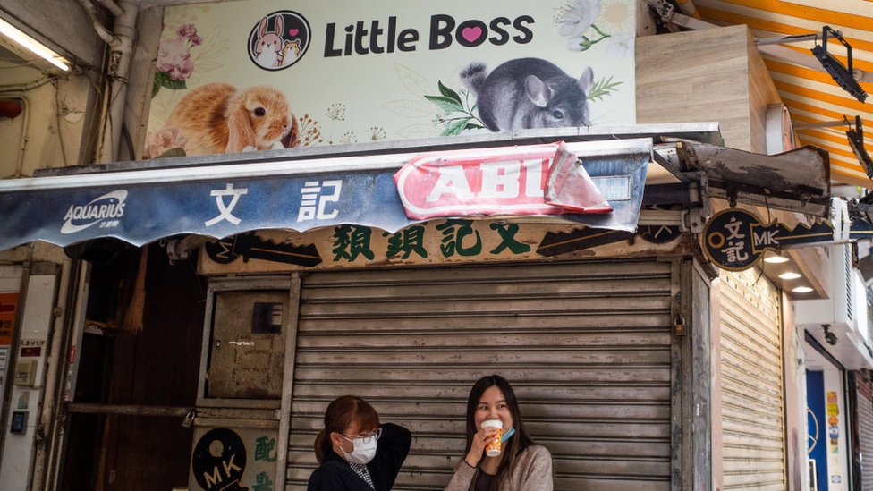 The shuttered Little Boss pet shop in Hong Kong